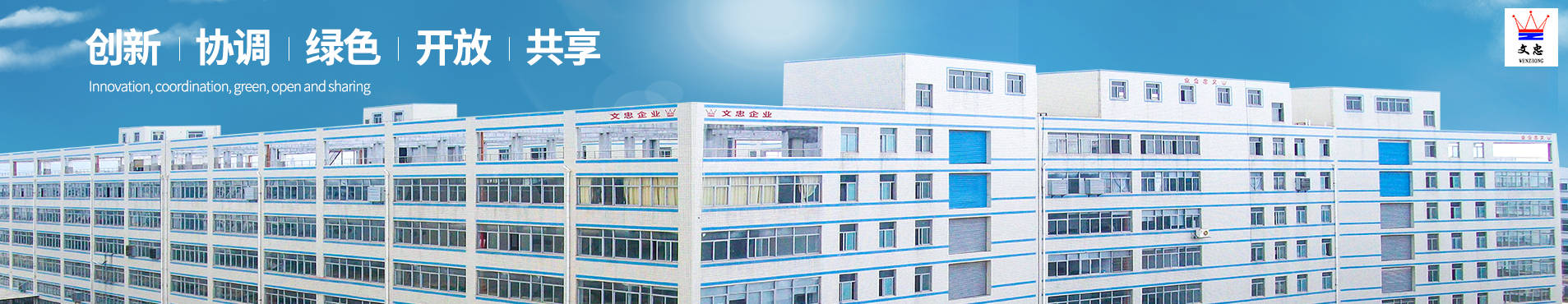 6007 加強(qiáng)型綁帶護(hù)踝